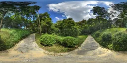 Cloudy mountain forest