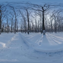Snowy Forest Path 02