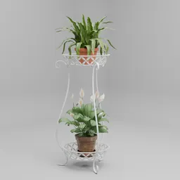 Indoor Plants