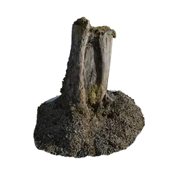 Mossy Stump