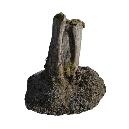Mossy Stump