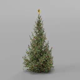 Christmas Tree Decorated Young