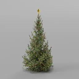 Christmas Tree Decorated Young