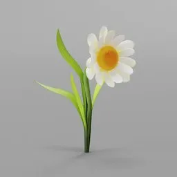 "Low poly, stylized white flower 3D model for Blender 3D. Perfect for games and animations, featuring a giant daisy head with yellow center and solid gray background. Rendered without textures, with a 16:9 ratio and green at 0.25."