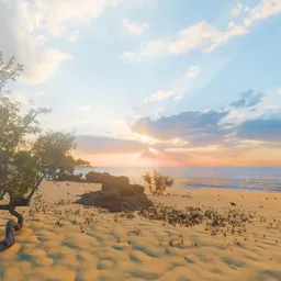 Sunset On Beach - Animated