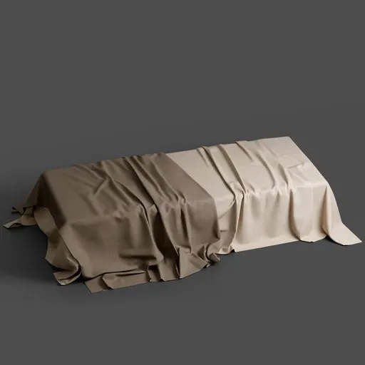 Cloth Background Stage Double