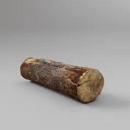 Cut Tree Log