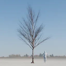 Dry Tree Low Poly Animated