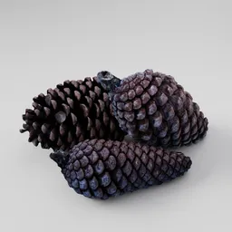 Pine Cones