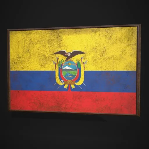 Ecuador Flag Picture Frame