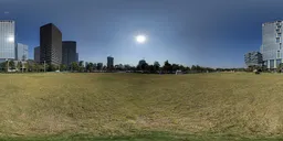 Daytime urban grasslands