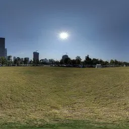 Daytime urban grasslands