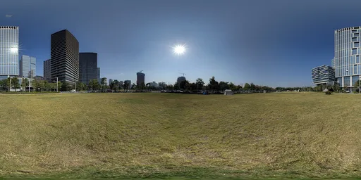 Daytime urban grasslands