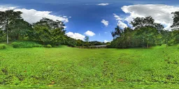 Cloudy day with green grass