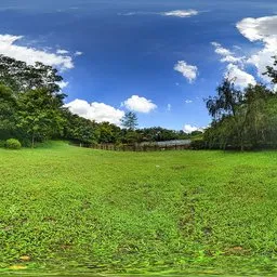 Cloudy day with green grass
