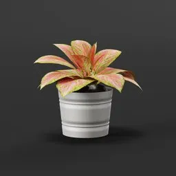 Highly detailed Aglonema 3D model in a pot, perfect for Blender animation and game development assets.