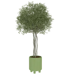 "Realistic 3D model of an indoor olive tree in a pot, optimized with high resolution and low polygons for Blender 3D. Perfect for adding organic biomass to your furniture assets in video game design."