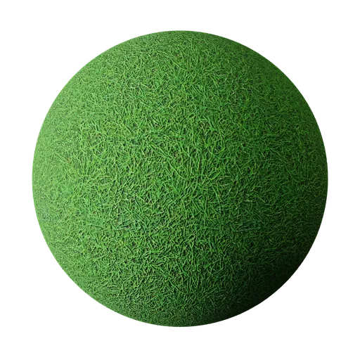 grass