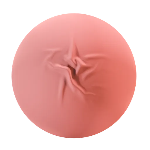 AT-Fabric Brush-45