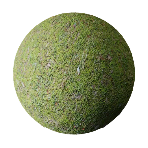 Natural Grass Ground