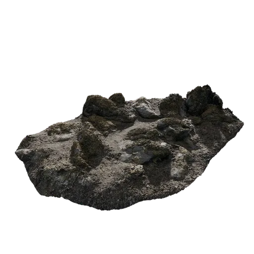 Mossy Rock