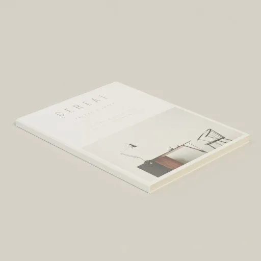 Realistic 3D model of a magazine for Blender rendering, featuring fine detail and textures.