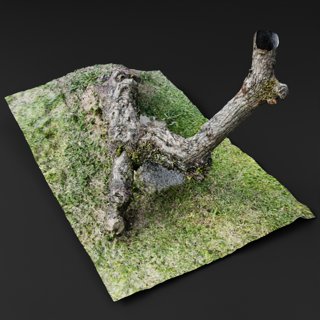 Fallen Tree Branch | Trees models | Blendkit