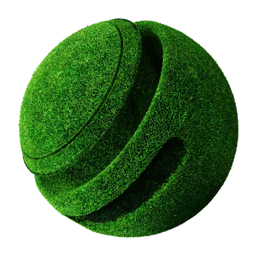 Grass 02