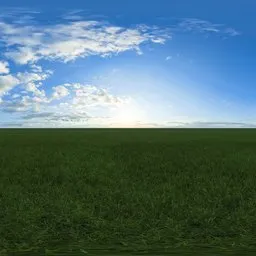 Green grass cloudy blue sky pure sky