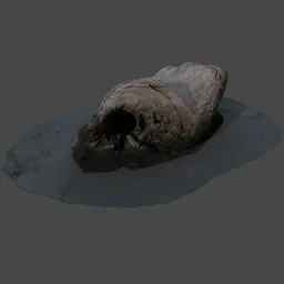 High-detail 3D scan of driftwood, Blender-compatible, perfect for virtual beach scenes, realistic texturing.