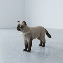 Realistic Siamese Cat