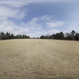 Yellow Field