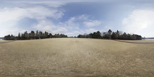Yellow Field