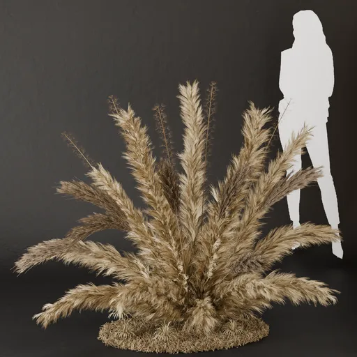 SJ- Pampas Natural Spirit Bush