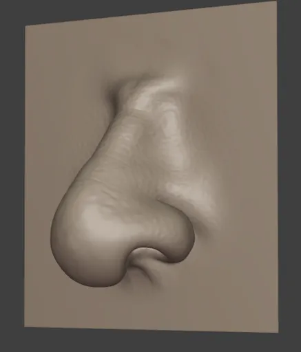 Santa Nose