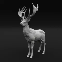 Deer Stag