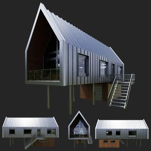 Modern Wood Ridge House