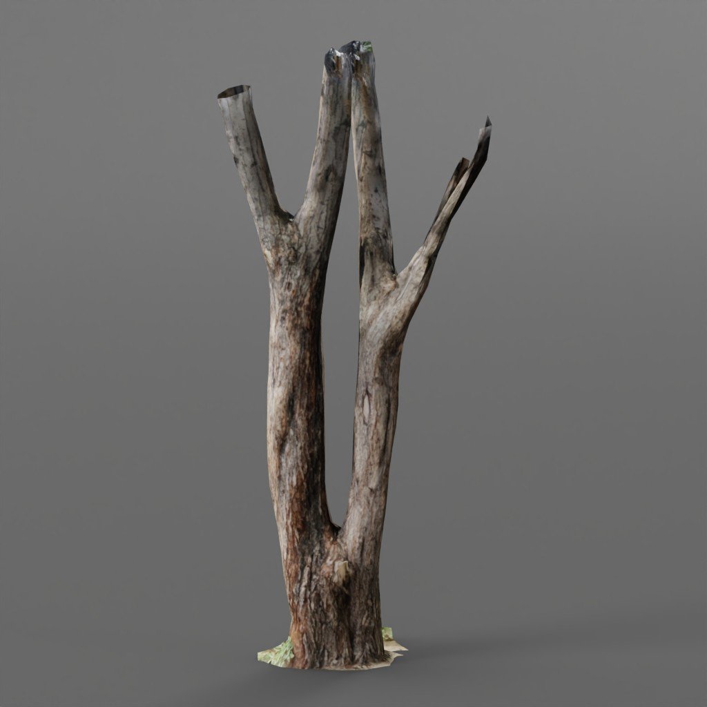 tree-trunks-free-3d-tree-models-blenderkit