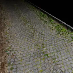 Old cobblestone path