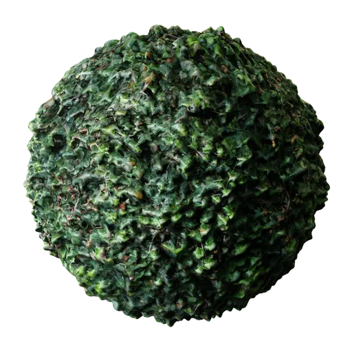 Ivy Dark Green