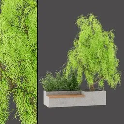 Urban Tree Seat