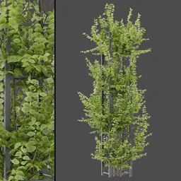 Green Foliage Column