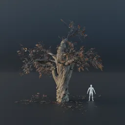 Oak Tree - Ancient (Autumn)