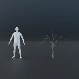 Oak Tree - Sapling Small (Winter)