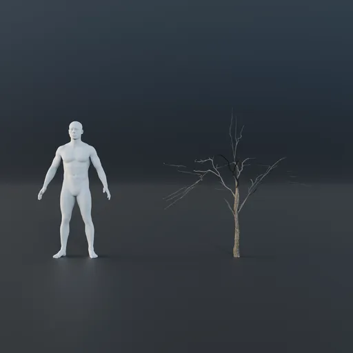 Oak Tree - Sapling Small (Winter)