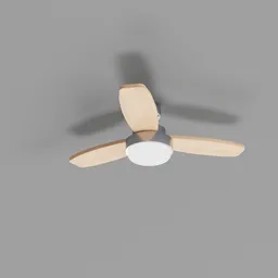 Ceiling Fan