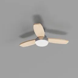 Ceiling Fan