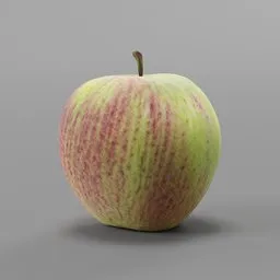 Apple model