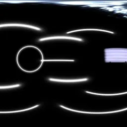 Black White Light Studio