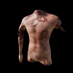 Rotten Bloody Torso With Bones